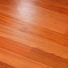 JATOBA